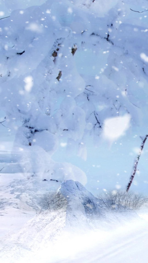 冬天下雪背景视频素材浪漫雪景10秒视频