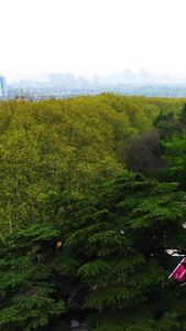高清航拍南京雨花台烈士陵园红色旅游视频
