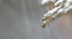 山里大雪26秒视频