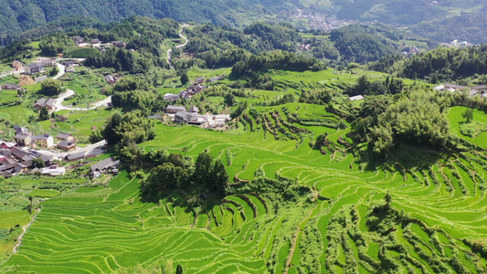 浙江丽水云和梯田日出云海景区视频