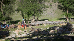 新疆伊犁琼库什台骑马的哈萨克牧民17秒视频
