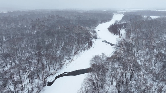 大兴安岭冬季风光风雪天气森林雪景视频