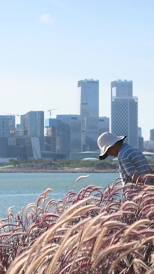 深圳前海海边公园城市风光10秒视频