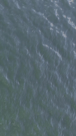 航拍夏天在江河里游泳的人素材38秒视频