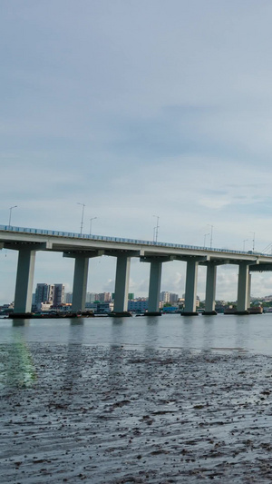 海南省文昌市清澜大桥与停泊的渔船和沙滩蟹交通线13秒视频