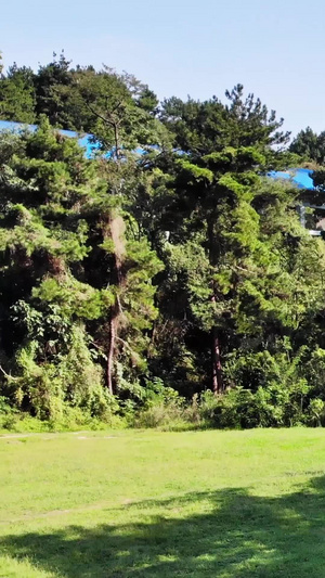 航拍贵州贵阳药用植物园全景35秒视频