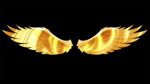 金翅膀特效动画元素带透明度19秒视频