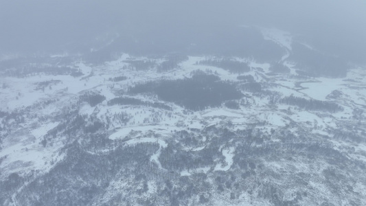大兴安岭冬季风光风雪天气森林雪景视频