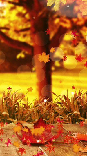 唯美的秋天秋叶背景素材秋天舞台背景30秒视频