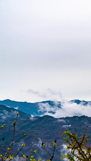 超清山间云海飘动的云15秒视频