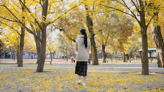 4K秋天银杏树下的少女视频