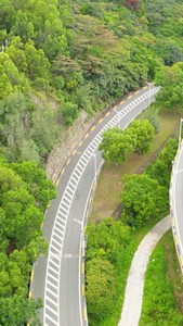 森林公路发展视频