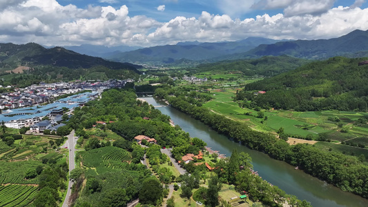 武夷山茶园 生态茶园视频