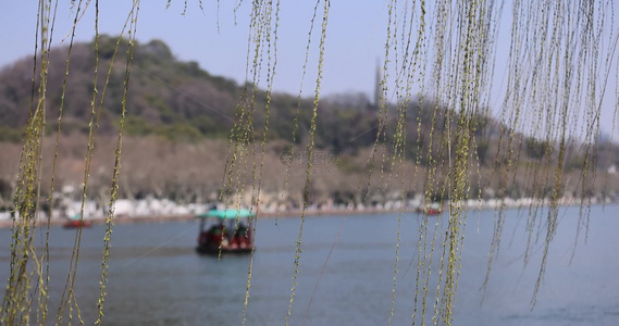 杭州西湖湖边垂柳发芽眺望宝石山保俶塔视频