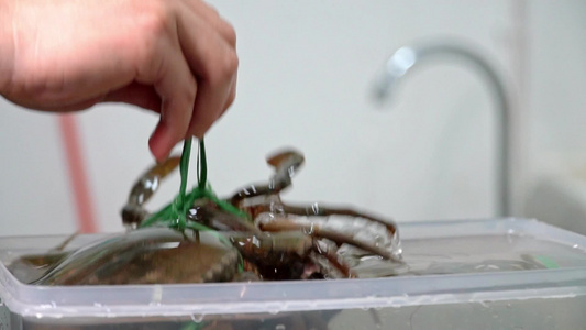 美食洗大闸蟹实拍视频视频
