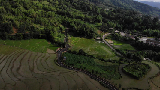 美丽乡村梯田唯美景色航拍视频