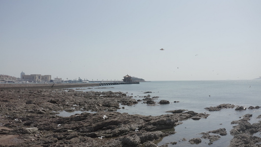 青岛海岸风景航拍视频