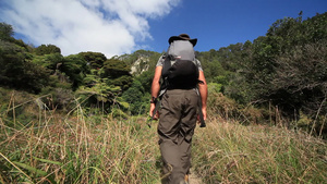 徒步旅行者穿过荒野16秒视频