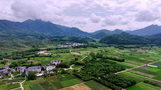 美丽乡村 茶田风光 福建航拍视频