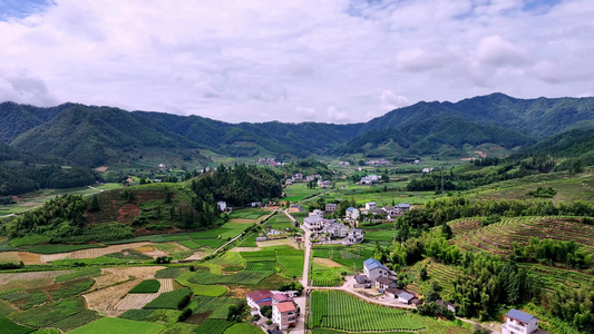 美丽乡村 茶田风光 福建航拍视频