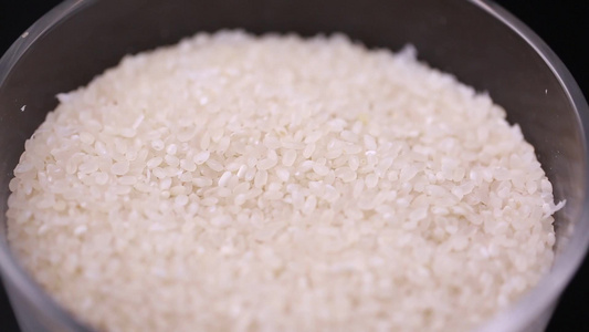 大米水稻米饭 视频