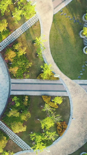 航拍城市风光武汉地标建筑国际博览中心全景素材城市素材115秒视频