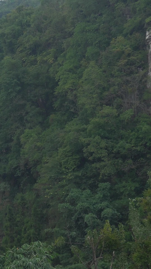 贵州黄果树瀑布风光美景高山流水14秒视频