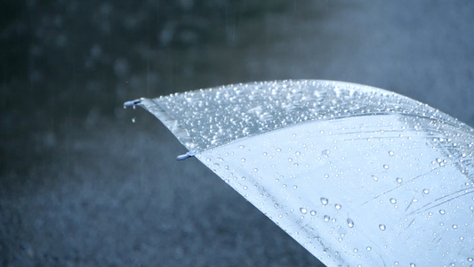 升格雨伞滴水下雨雨滴暴雨雨中雨伞地上遗落的伞视频