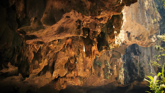 森林洞穴中的景色视频