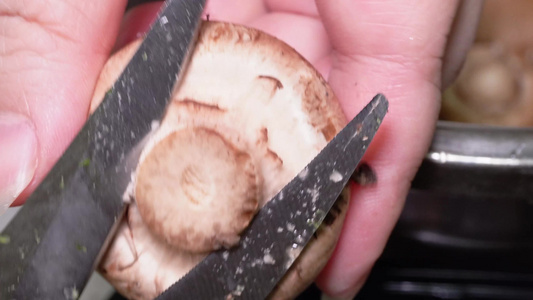 水洗褐菇清洗蘑菇有机食材视频