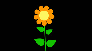 mg动态花朵生长视频素材14秒视频
