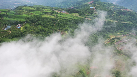 茶山云雾视频