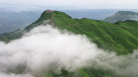 茶山云雾视频