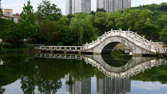 公园湖泊景观拱桥自然风光视频