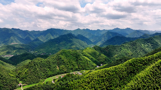 航拍杭州桐庐竹林竹海视频