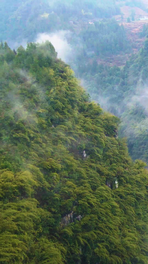 航拍山清水秀的阿依河景区大景5A景区80秒视频