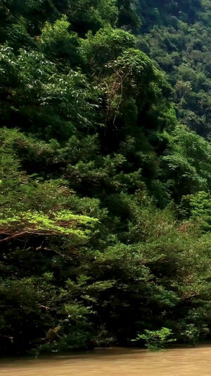 贵州大七孔景区泛舟自然风光旅游景点63秒视频