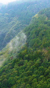 航拍山清水秀的阿依河景区大景大好河山视频