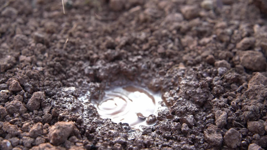 慢镜头雨滴滴落在土壤中的水坑 三农视频