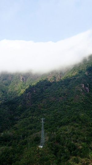山中云雾缭绕航拍自然美景23秒视频