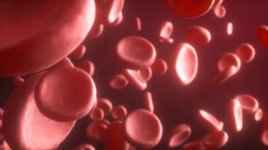 微观体内红细胞三维无缝循环动画视频