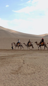 甘肃著名旅游景点鸣沙山沙漠骆驼视频骑骆驼视频