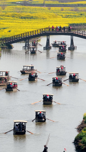 江苏兴化市千垛油菜花景区河道里的手摇船视频