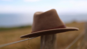 棕色的帽子坐在铁丝栅栏上的木杆上8秒视频