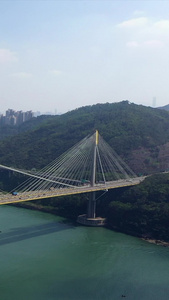 远眺香港荃湾城市建筑视频