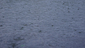4K实拍下雨天雨水雨滴雨水落在水面升格慢动作12秒视频