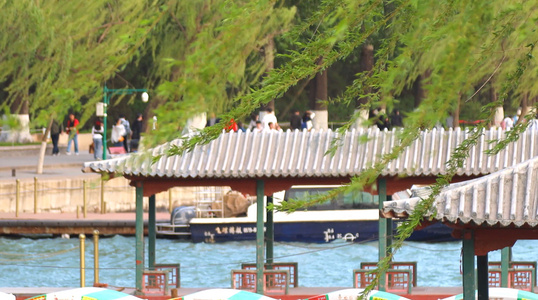 夏天北京5A景区颐和园昆明湖旁被吹起的柳树视频
