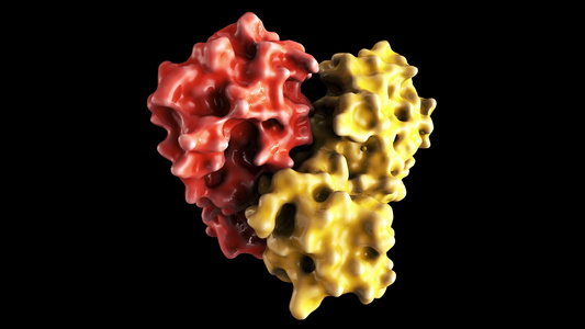 病毒结构3d模型视频
