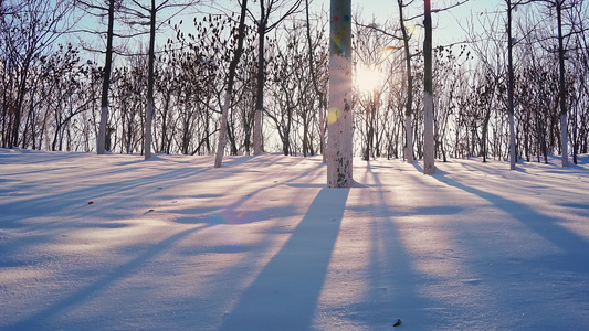 冬天唯美雪地空镜视频