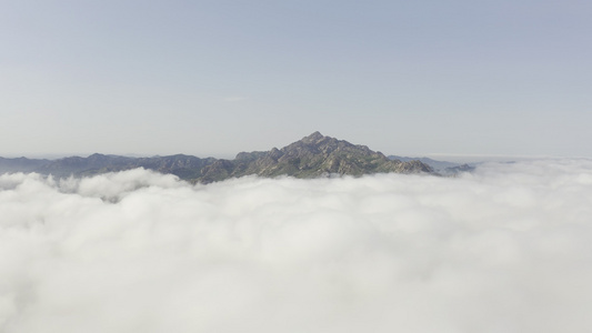 青岛大珠山风景区平流雾视频